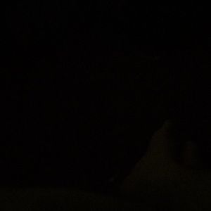 Meet your Posher, Paul